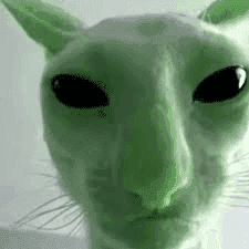 alien-cat
