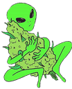 alienbud