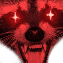 angry-raccoon