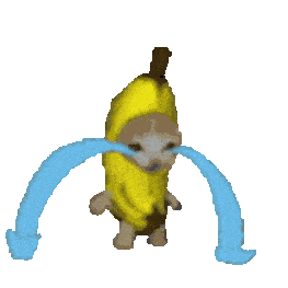 bananacat10-cry