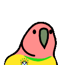 brazilianplayerparrot