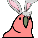 bunnyparrot