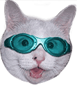 cat-goggles