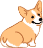 corgi