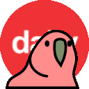 dailyparrot