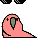 dealwithitparrot