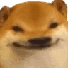 doge-5head