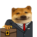 doge-business