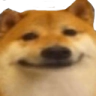 doge-face