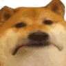 doge-sad