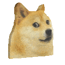 doge
