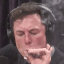 elon_weed