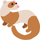 ferret
