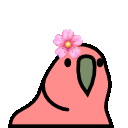 flowerparrot