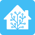 home-assistant