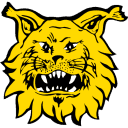 ilves