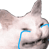 kitty-sad