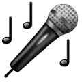 mic