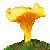mushroom_yellow