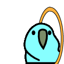 parrot_portal_orange