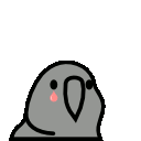 parrottears