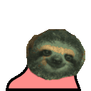 partysloth
