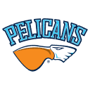pelicans