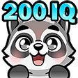 raccoon-200IQ