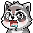 raccoon-drool