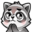 raccoon-please