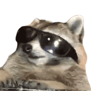 raccoon-shades