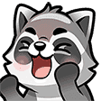 raccoon-yay
