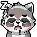 raccoon-zzz