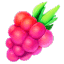 rasberry