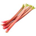 rhubarb