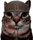 soldjacat