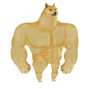 swoledoge