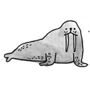 walrus_of_disapproval
