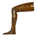 woodenleg