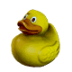 yellow-quack